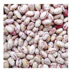 Organic Pinto Beans Sugar Beans / Kidney Beans / Red Kidney Beans - Image 6