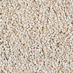 Fox Nuts - Image 1