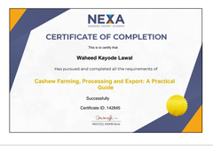 NEXA certificate of Look Agric Allied Limited  – certificate photo, supplier certificates section