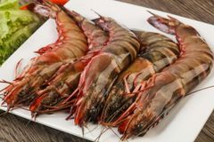 Frozen Black Tiger Shrimp Available for Global Export and Distribution Premium Black Tiger Shrimp Frozen Fresh Frozen B - Image 3