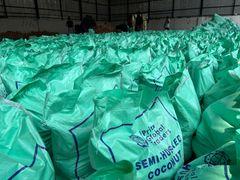 Premium Quality - Semi husked Coconut - Export Quality - for Global Wholesale buyers – product photo 6, product detail gallery