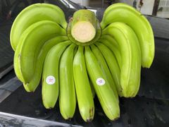 High Quality Fresh Banana - Green Cavendish Banana for China, EU, Japan, USA Market – product photo 1, product detail gallery