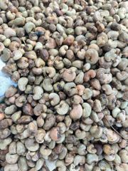 Cashew Nut – product photo 2, product detail gallery