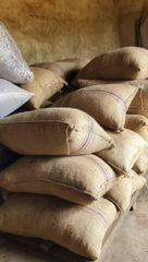 Grade A cocoa beans – product photo 2, product detail gallery