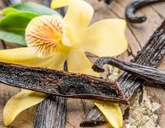 Vanilla of Madagscar – product photo 2, product detail gallery