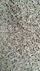 Cumin Seeds - Image 1