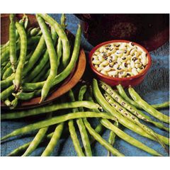 Best quality export for Cow Pea Style Dried Quality Premuim Type White Beans Color Dark green. Shelf Life 2 year Cultivation Type - Image 5