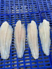 IQF Frozen Pangasius Fillet Basa Cube No Skin Headless Whole With High Standard For Export - Image 2