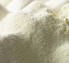 Milk Powder