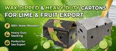 Customized Waterproof Corrugated Cardboard Boxes for Fresh Fruits and Fresh Vegetables - Image 4
