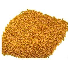Spices Factory Wholesales high-quality kitchen seasonings mustard seeds yellow mustard seeds dried mustard with low price – product photo 4, product detail gallery