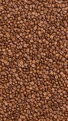 Premium Cameroon Roasted Coffee Beans – Arabica & Robusta, Specialty Grade, Wholesale Export - Image 5