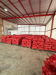 Fresh Yellow Onion – Export Quality from Chile - Image 3