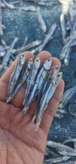 Dried Anjoli fish - Image 1