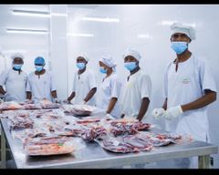 Company – thumbnail 7 of 10, supplier detail gallery