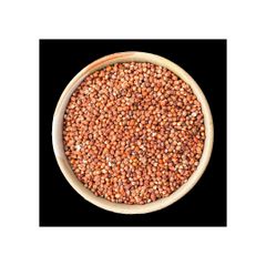 Bulk sorghum grains wholesale in 25kg and 50kg export bags - Image 2