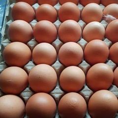 Fresh Eggs White/brown Chicken Eggs - Image 1