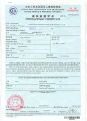 PHYTOSANITARY CERTIFICATE to India certificate of Zhongshan Kwangna Import & Export Co., Ltd. – certificate photo, supplier certificates section