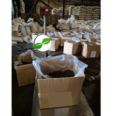 Dried Cloves from Indonesian Island AB Quality 100% LC Carton box packing ready for bulk supplier all the worrld - Image 4