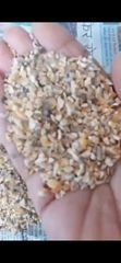 Animal Feed – product photo 1, product detail gallery