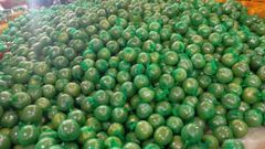 BEN TRE VIETNAMESE GRAPEFRUIT Color vỏ ngoài màu xanh tự nhiên Place of Origin bến tre việt nam Feature trái cây tươi , sử dụng ngay dùng làm nước ép  bưởi , ăn trực tiếp - Image 2