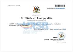 License certificate of savannah roots – certificate photo, supplier certificates section