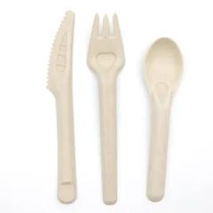 Sugarcane Pulp Spoons Disposable Biodegradable Paper Spoons Cutlery - Image 4
