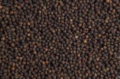 Premium Whole Black Pepper – Bold Aroma, Strong Flavor, Sun‑Dried, SP20, GB, 11 (9), 12 - Image 5
