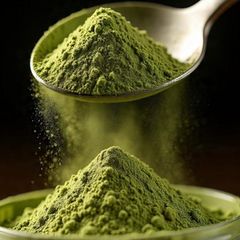 Kratom (Mitragyna Speciosa) - Image 1