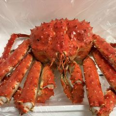 Premium Live King Crab Wild Caught Whole for Restaurants Hotels and Seafood Importers – product photo 3, product detail gallery