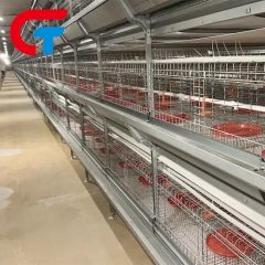 H Frame Automatic Feeding System Farming Poultry Equipment Battery Cage - Image 3