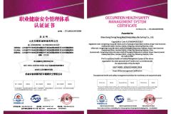 certificates certificate of Shandong Dongcheng Machinery Manufacturing Co., Ltd. – certificate photo, supplier certificates section