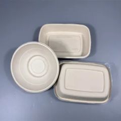 Biodegradable Compostable 90D Plates Custom Embossing MOQ100 1Y - Image 3
