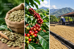 Arabica Green Coffee Bean For Specialty and Commercial Indonesian Origins All Grades Ready Export – product photo 5, product detail gallery