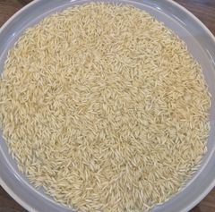 1121 Basmati Rice – product photo 7, product detail gallery