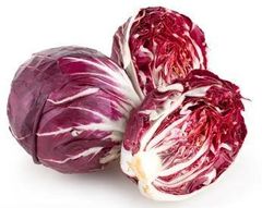 Chicory - Image 1