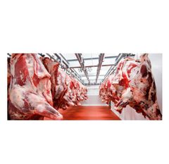 BEST QUALITY HALAL FRESH FROZEN BEEF CONICAL MUSCLE BULK VACUUM PACKED - Image 4