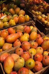 Fresh Mangoes - Image 3