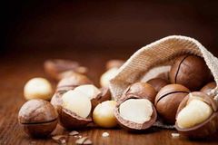 Premium Raw Macadamia Nuts Organic Non-GMO Vacuum Packed Retail Packaging in Shell Macadamia Nuts or Kernel - Image 5