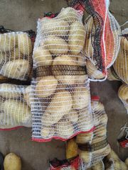 Quality fresh onion and potatoes – product photo 7, product detail gallery