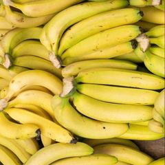 Fresh Bananas Premium Quality Ripe Fruit For Wholesale Supply Retail Stores Grocery Markets And Daily Fresh – product photo 2, product detail gallery