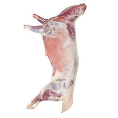 Fresh Meat - Image 1