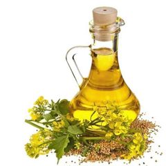 Pure Refined Rapeseed Oil Designed For Frying Baking And Food Preparation With A Mild Taste Light Texture - Image 1