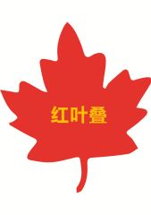 Shandong GOLD Hongye NET Co., Ltd.