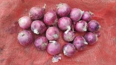 Fresh Small Size Red Onion with Best Quality Color Red Type Fresh Origin China Shape Oval,Flat Trademark Manhing HS Code 0703101000 - Image 2