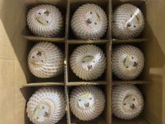 Fresh Young Coconut from Vietnam | Ben Tre Coconut Supplier | OEM Private Label | MEGAPLUS AGRI VIETNAM – product photo 2, product detail gallery