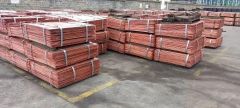 Factory tour