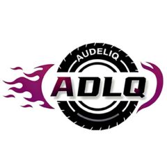 Shanghai Audeliq Industrial Co., Ltd