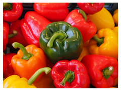 Capsicum Type Capsicum Color Fresh Organic Variety Bell - Image 1
