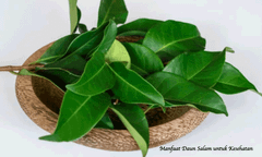 Bay Leaf Origin Indonesia Form Whole Dried Leaves Shelf Life Up To 24 Months Moisture Content Max. 10–12% Grade Export Quality / - Image 3